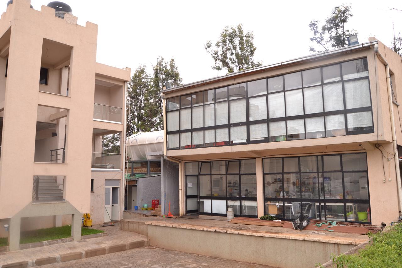 Grand Gato Hotel And Tours Harar Exterior foto